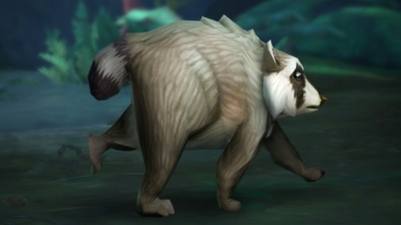 Jimothy